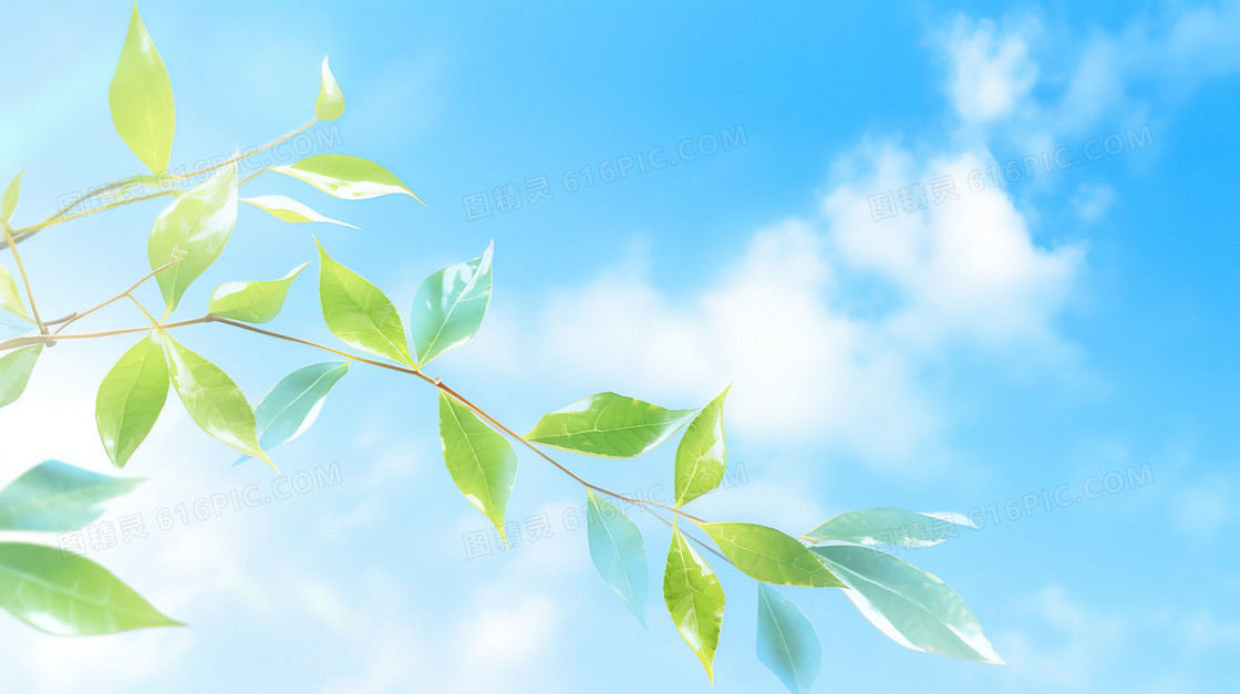 蓝天白云下的绿叶树枝插画
