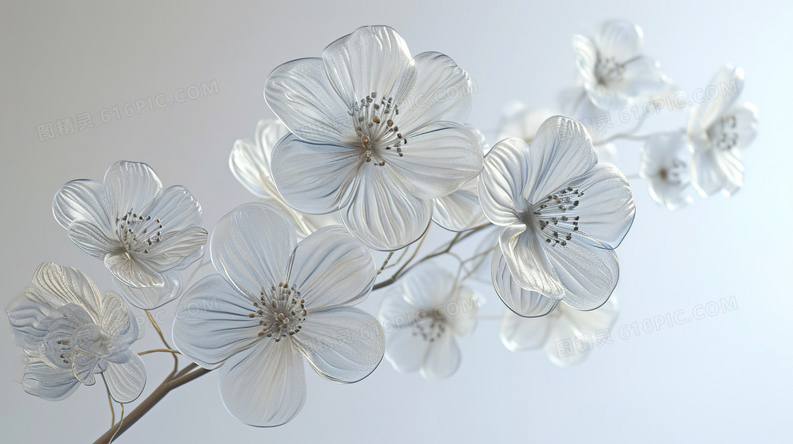 白色玻璃质感晶莹剔透盛开的花朵插画