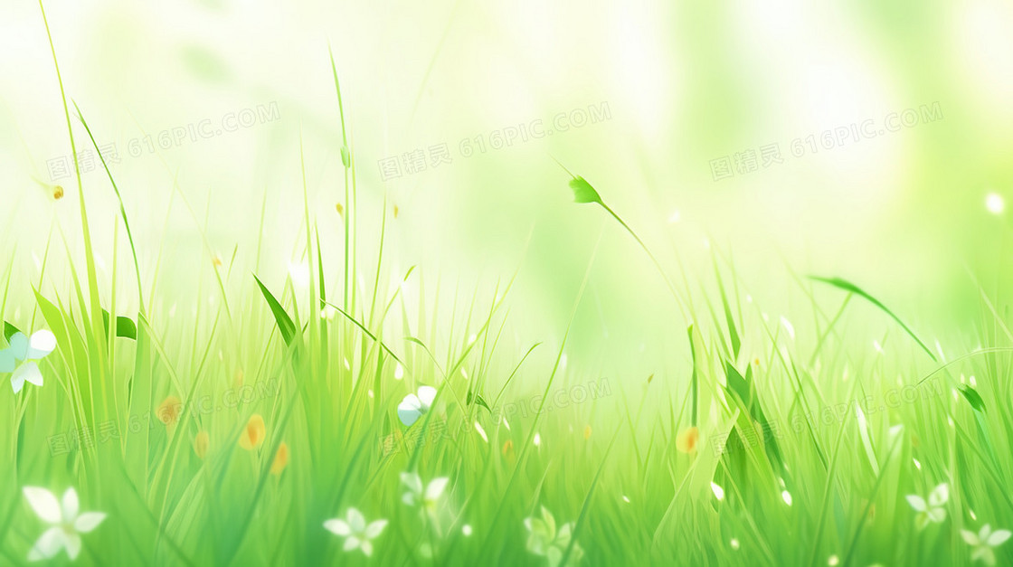 春夏季野花盛开的草地插画
