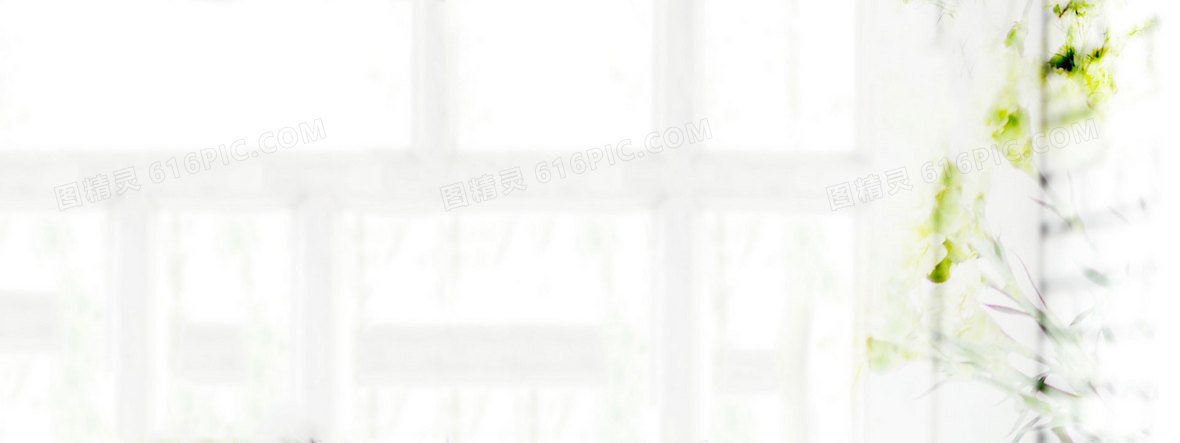 鲜花背景唯美花朵 洁白 简洁 淘宝海报