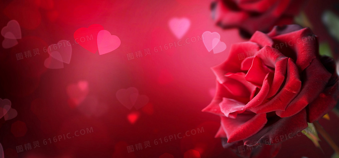 爱情情人节红色玫瑰浪漫花瓣背景banner