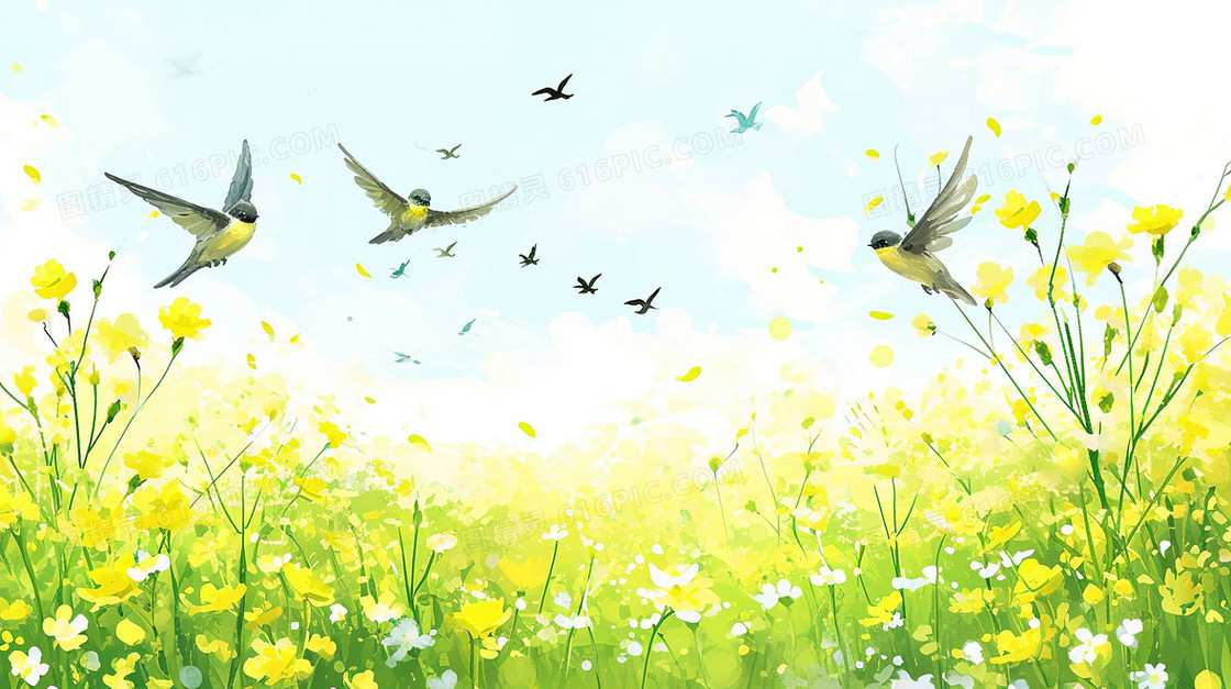 黄绿色花海中的小鸟插画