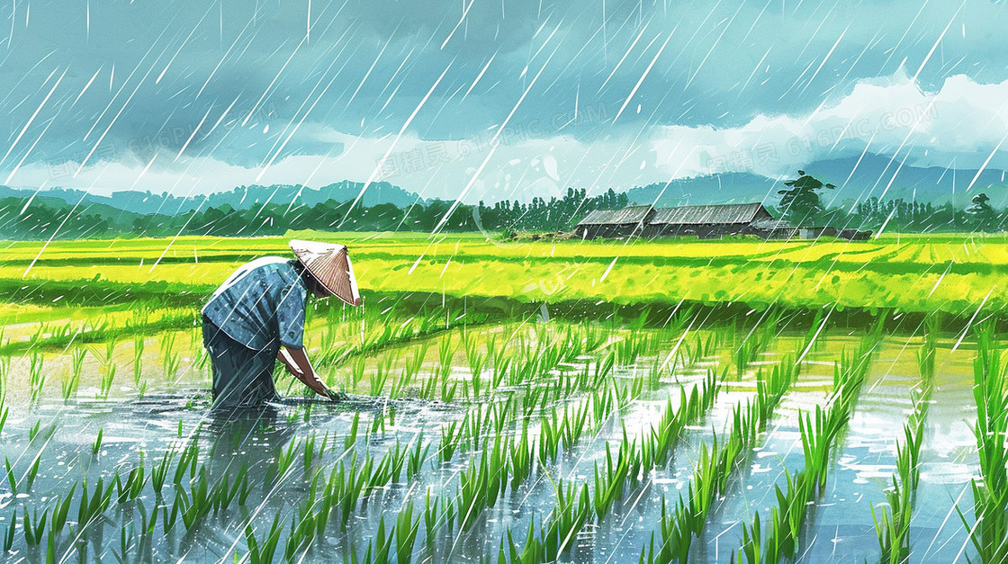 绿色雨中农耕水稻插秧图片