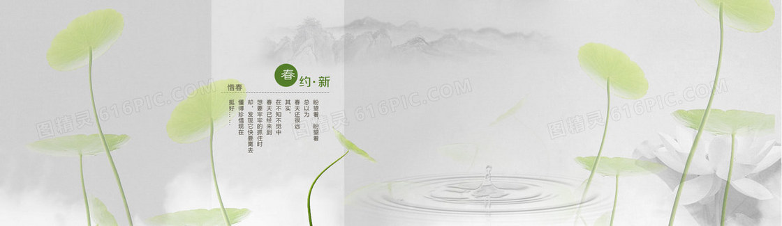 雨后荷花小清新淘宝背景