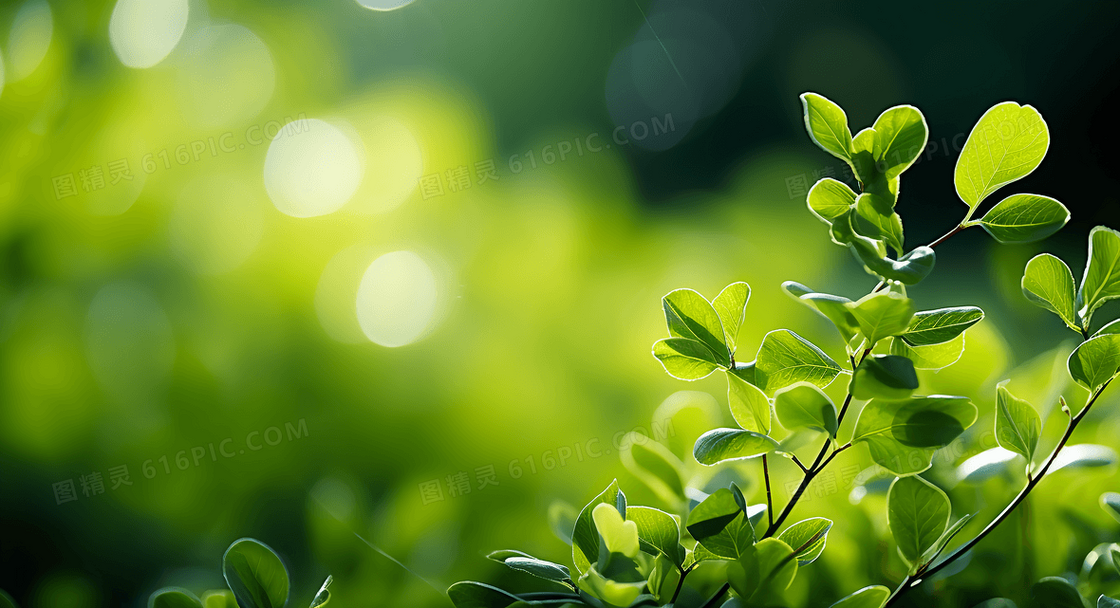 简约唯美春天花草绿植背景
