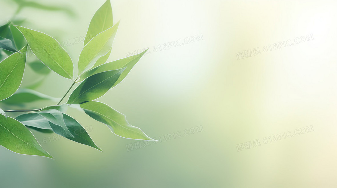 弥散风植物花卉小清新模糊纹理背景