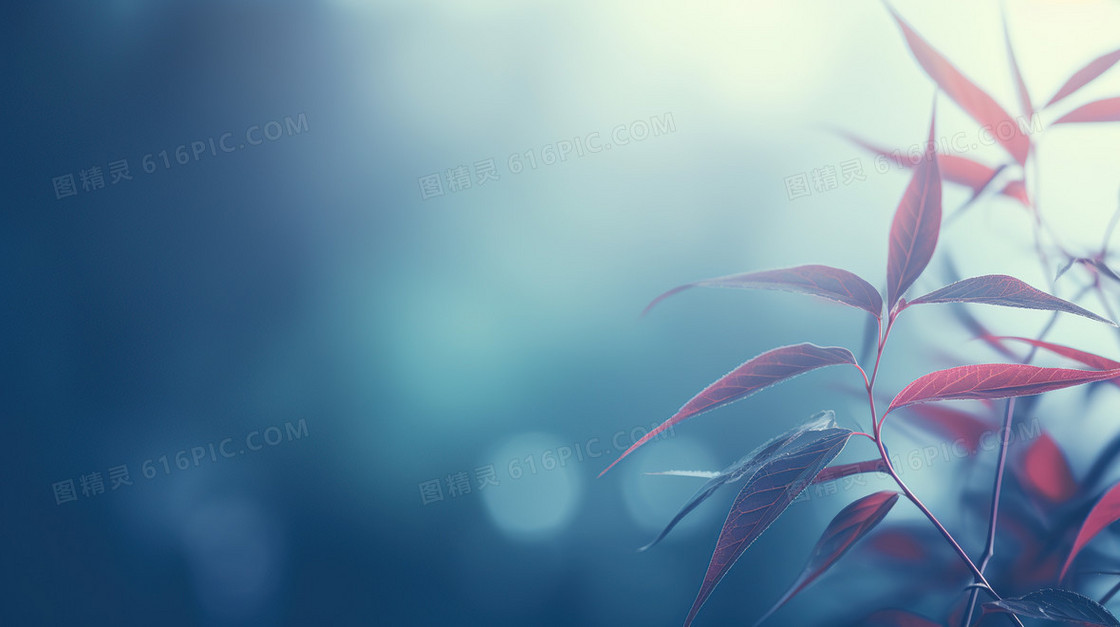 弥散风植物花卉小清新模糊纹理背景