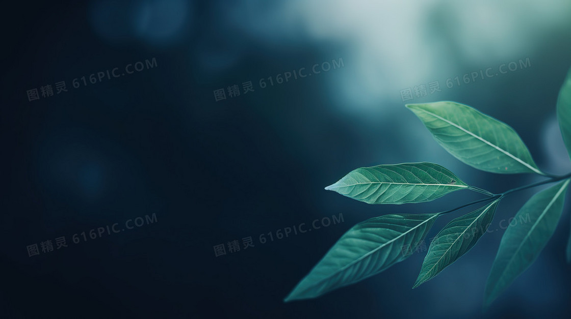 弥散风植物花卉小清新模糊纹理背景