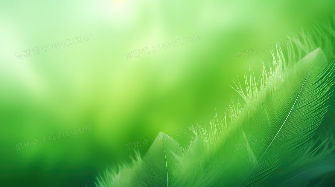 弥散风植物花卉小清新模糊纹理背景