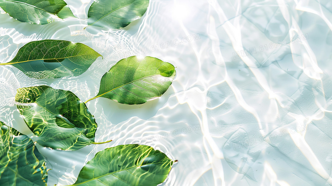 绿色夏季清凉植物叶片水面纹理背景