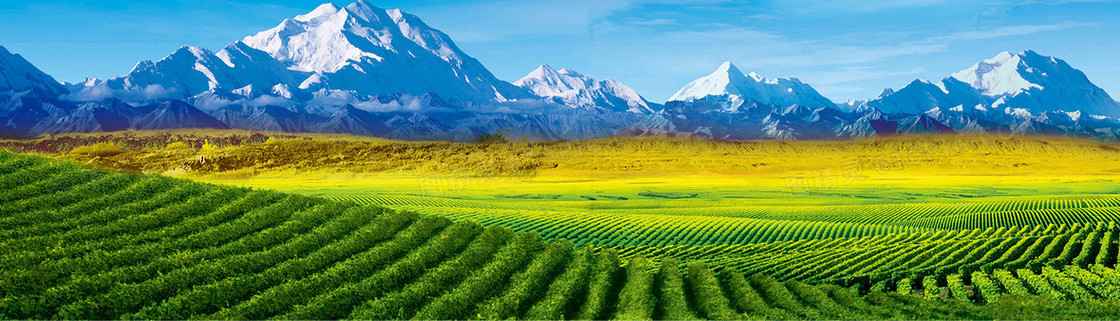 大气草原风景