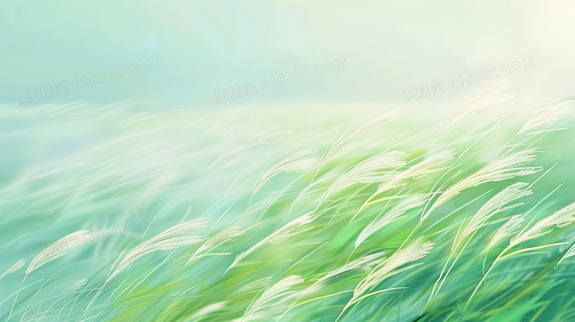 绿色简约丝滑草地植物纹理背景