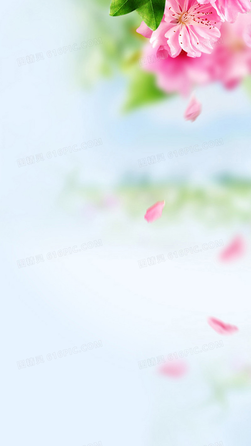 清新花朵背景图片素材H5背景