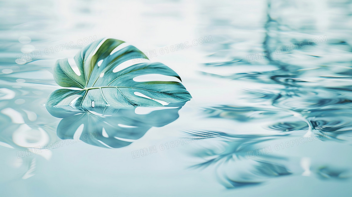 水面上的龟背竹背景