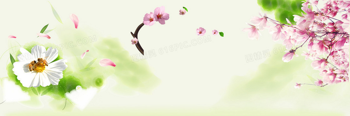 春天踏青桃花树叶藤蔓背景banner