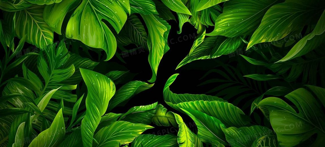 绿色植物背景