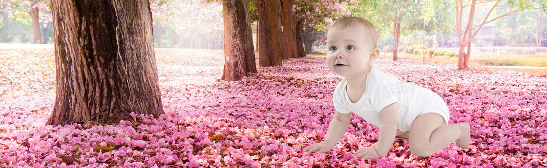 妇婴用品  唯美春季花朵海报图片