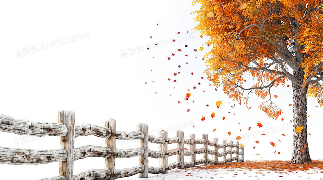 秋季围栏落叶自然风景背景