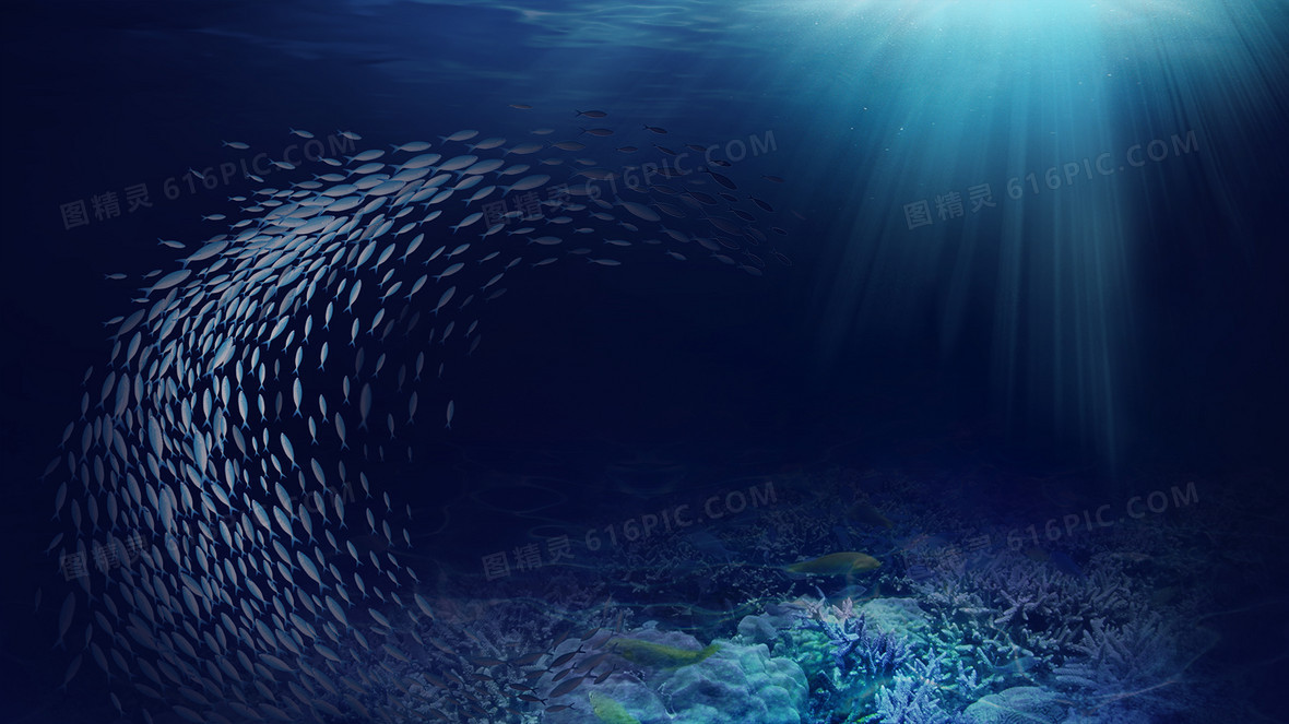 剪纸风海洋世界鲸鱼珊瑚背景4724 × 2362jpgpsd珊瑚美人鱼冰水背景