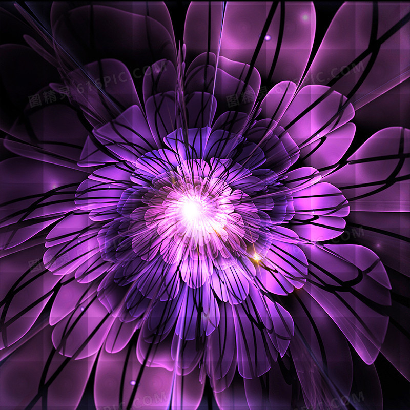 炫彩紫色花朵背景