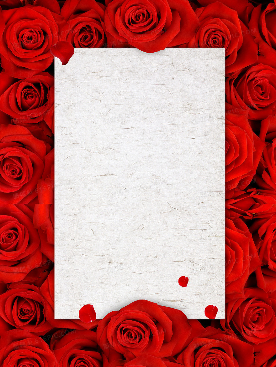 红色玫瑰花浪漫情人节海报背景