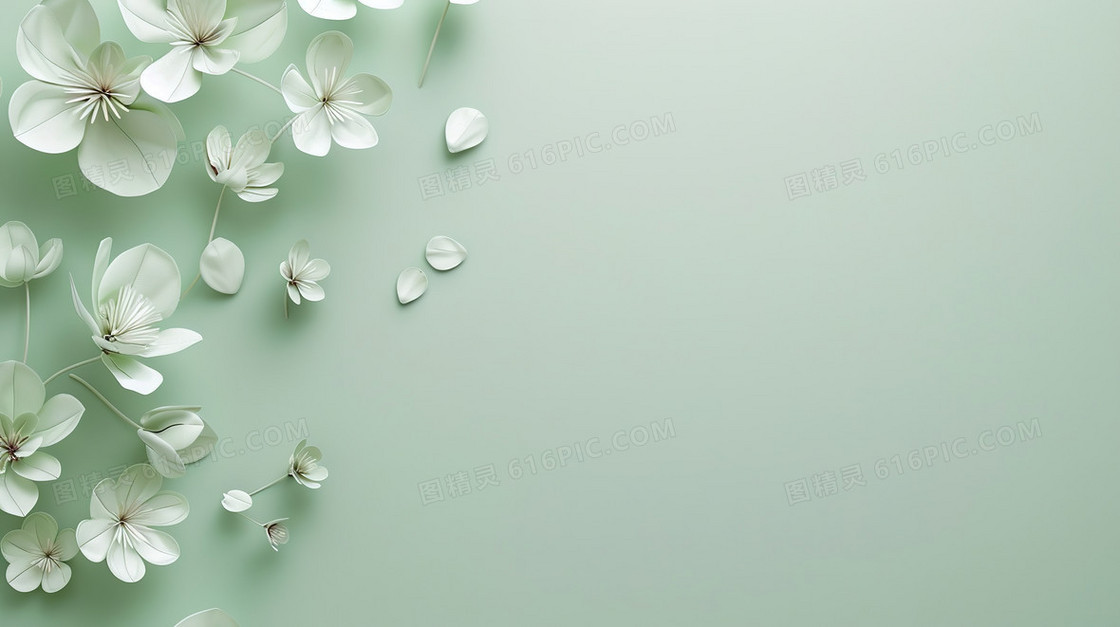 浅绿色3D花朵背景