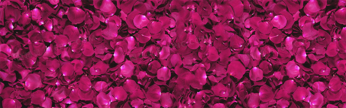 深粉色浪漫玫瑰花瓣背景