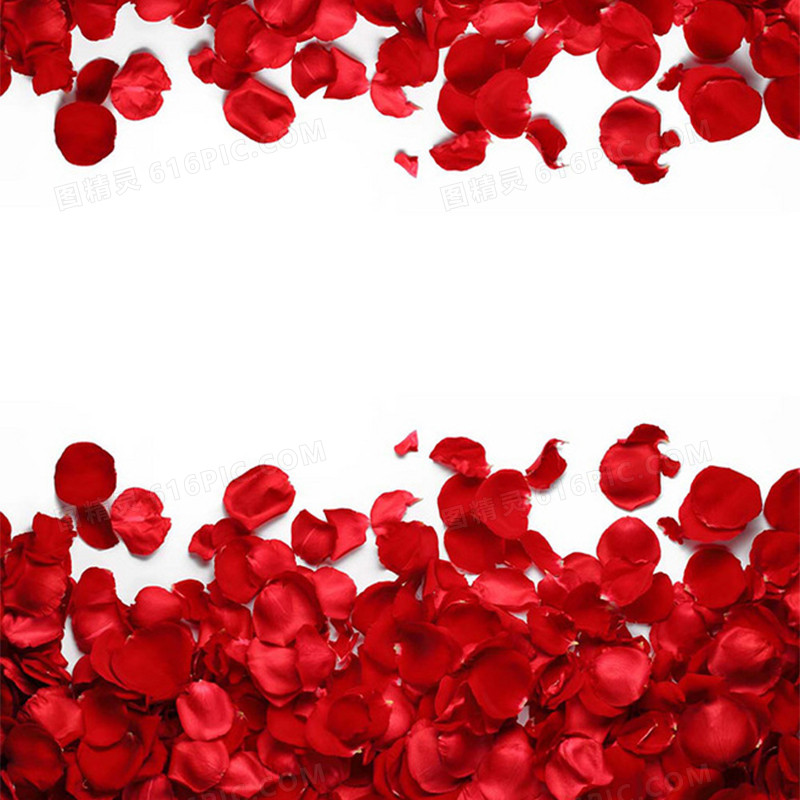 关键词:              红色,玫瑰,浪漫,唯美,清新,摄影主浪漫
