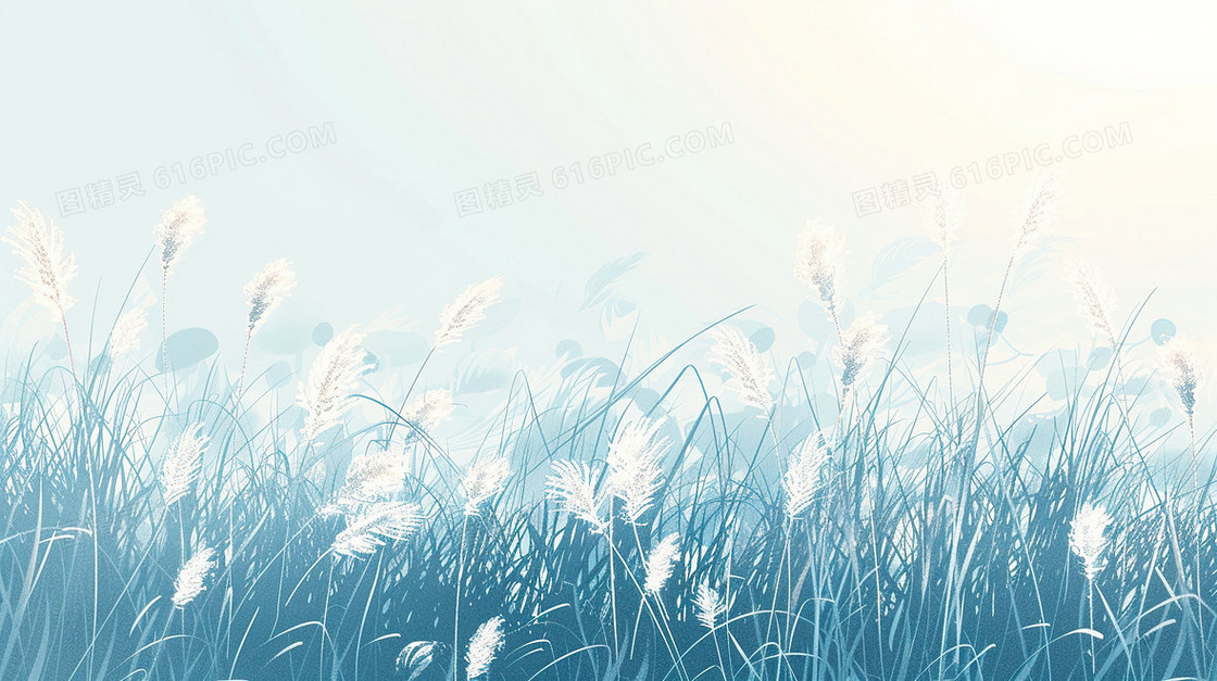 芦苇二十四节气寒露简约背景