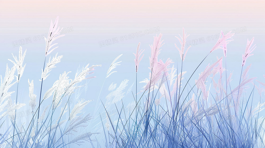 芦苇二十四节气寒露简约背景