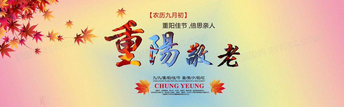 暖色调 重阳敬老 红枫叶 背景banner