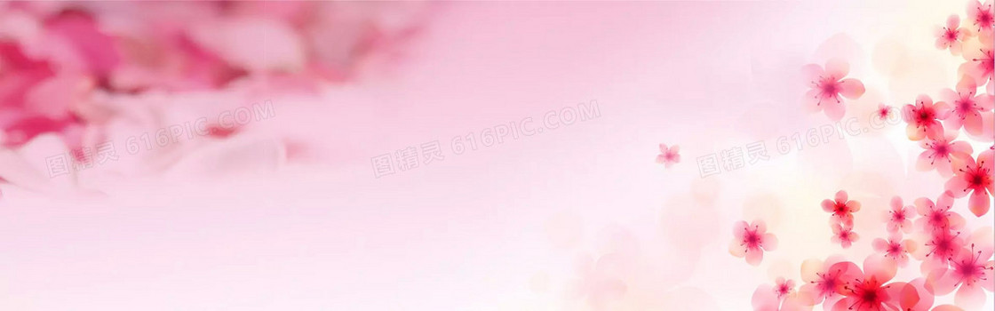 粉色樱花 背景