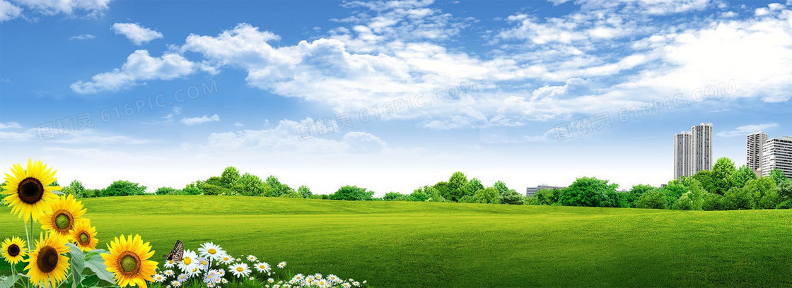 创意自然简约背景