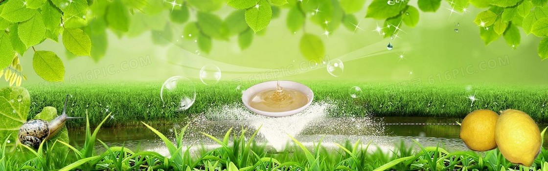 蜂蜜广告海报banner