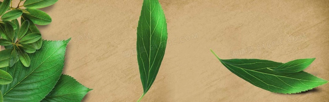 草药banner