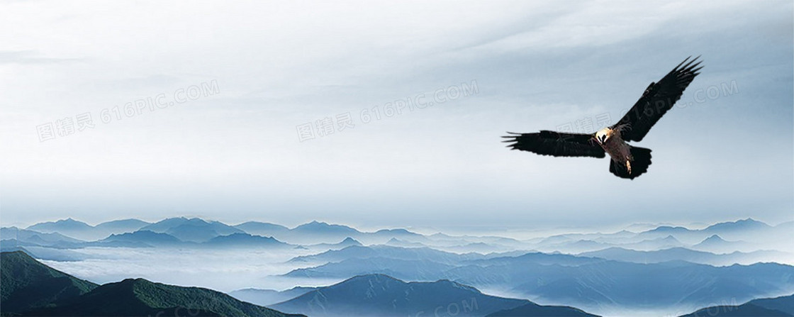 企业背景