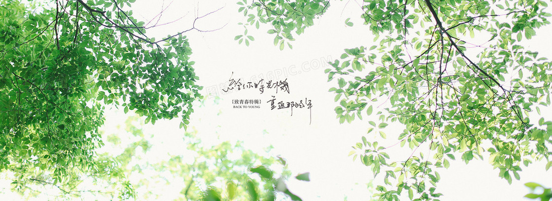 淘宝背景