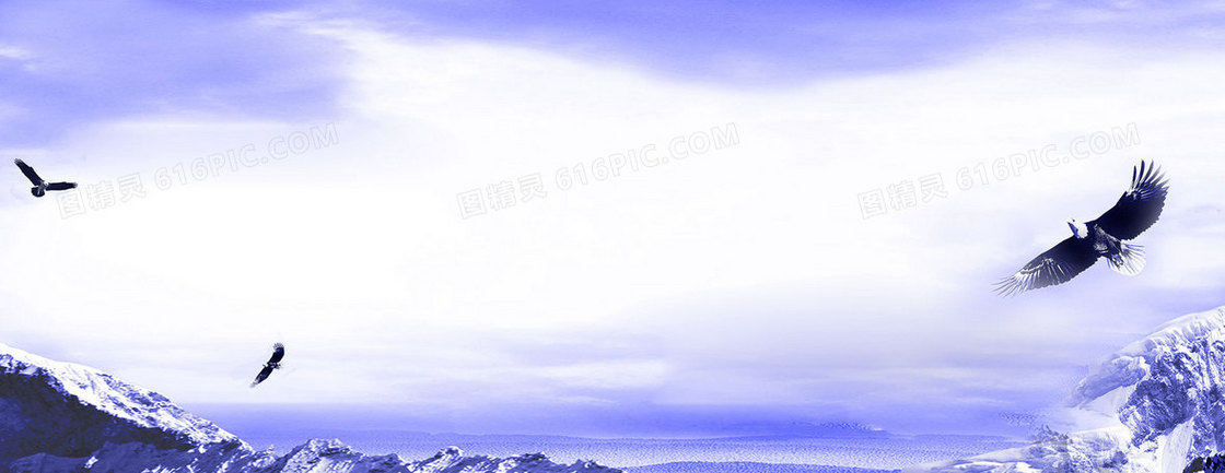企业文化雄鹰背景banner