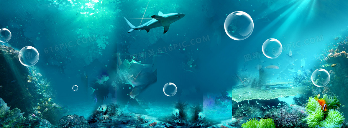 唯美海底背景背景图片下载_800x800像素jpg格式_编号1
