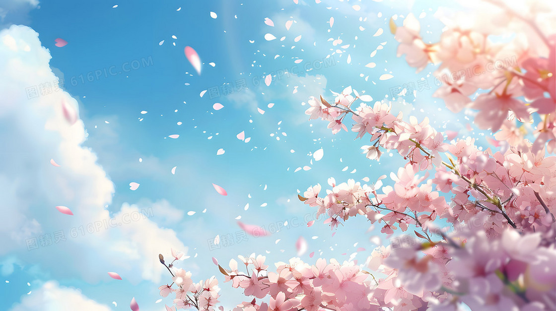 简约清新花枝背景