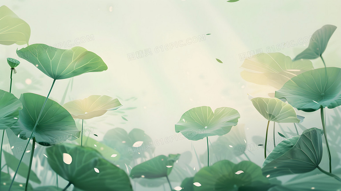 简约清新荷花背景