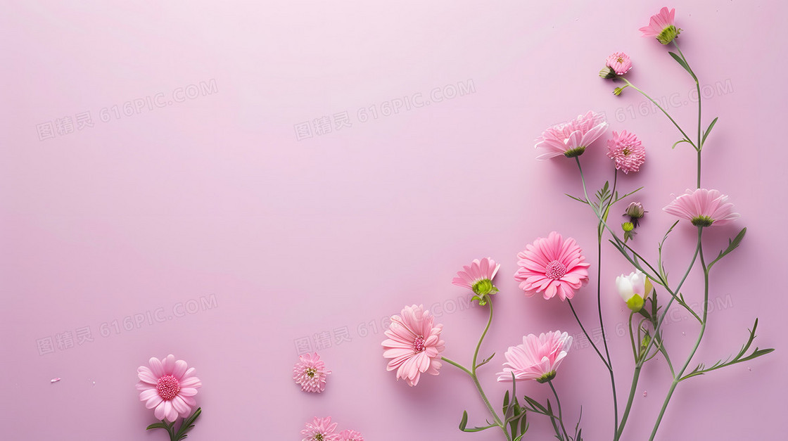 简约清新花卉背景