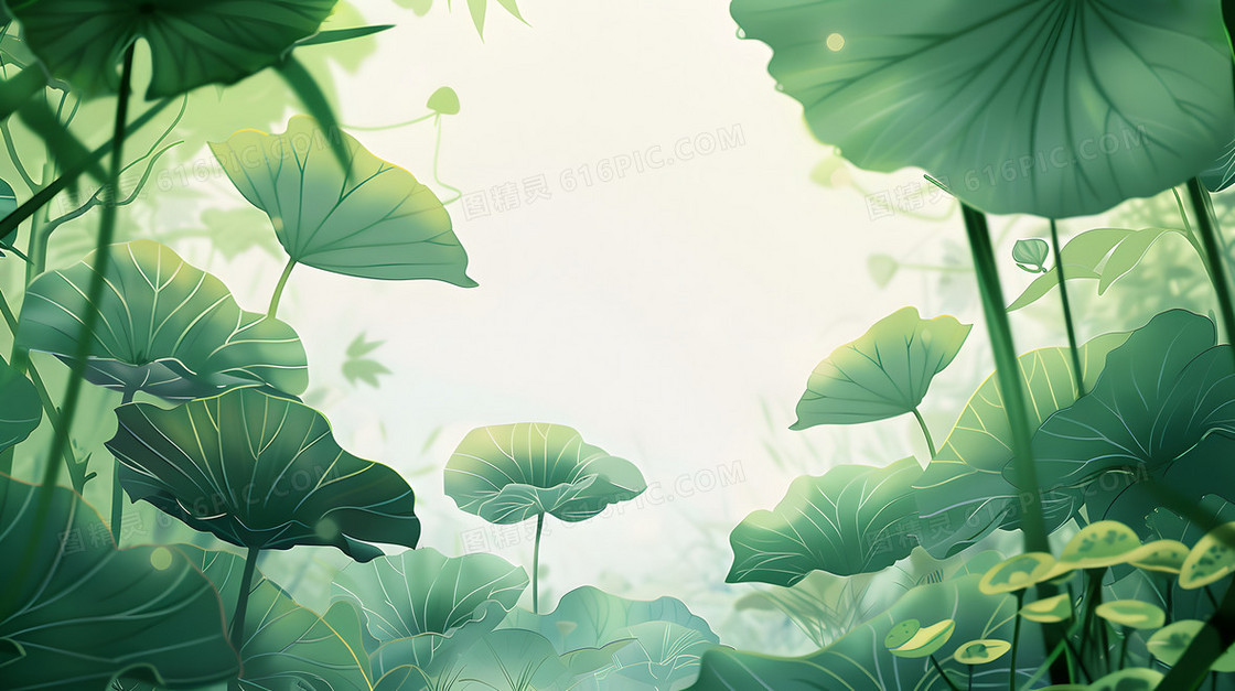简约清新荷花背景