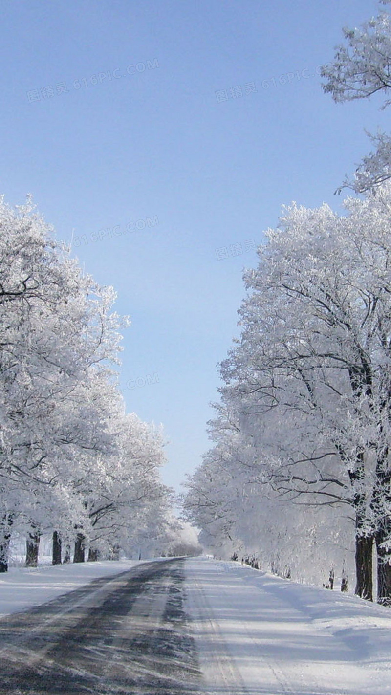 冬天樱花雪景H5背景