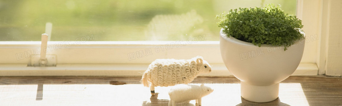 唯品会banner
