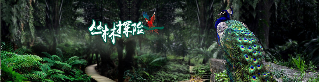 丛林探险banner