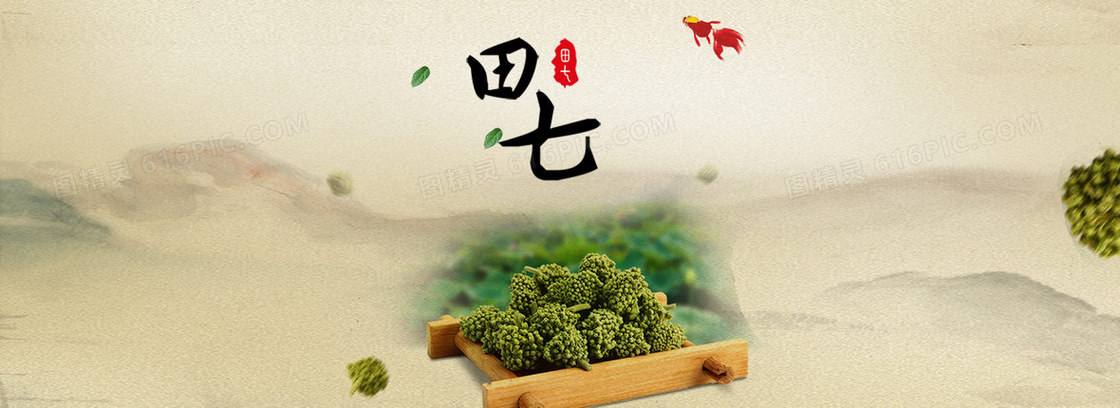 田七中药背景