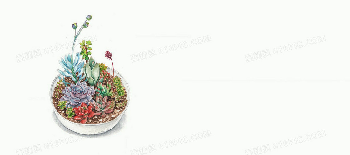 日系文艺清新手绘多肉植物背景