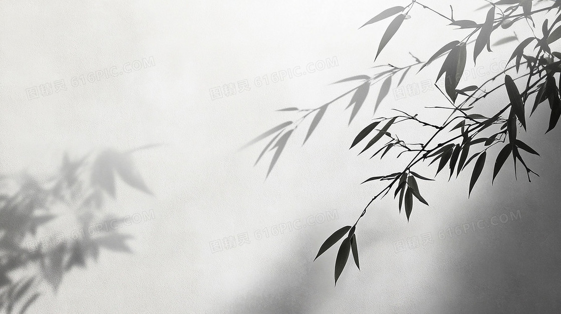 极简影子光影枝叶背景