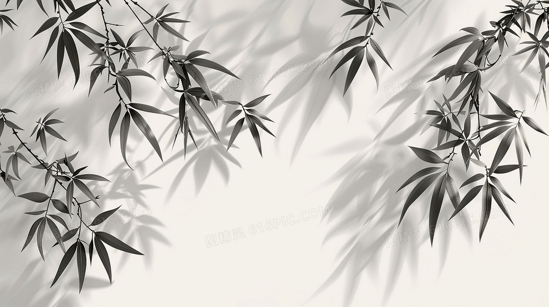 极简植物影子光影背景